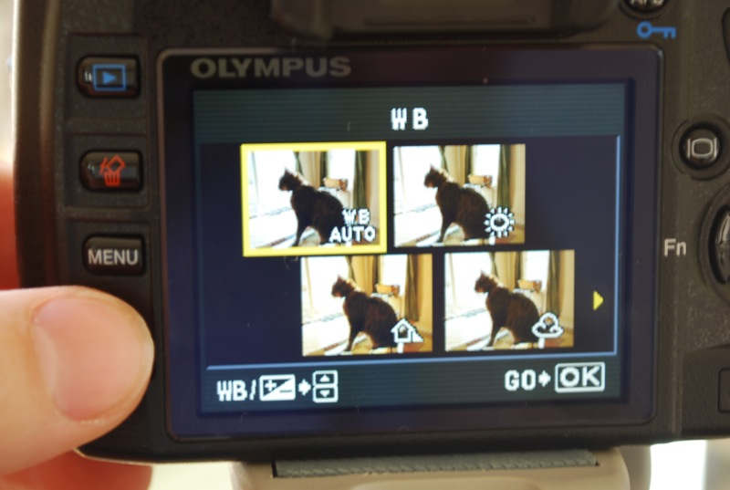 Illustration for article titled Lightning Review: Olympus E-420, the World's Smallest, Lightest, Cheapest DSLR